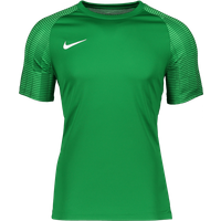 Nike Academy Trikot Kids Grün Weiss F302