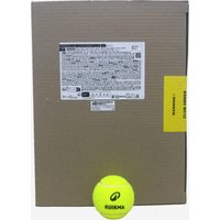 Tennisbälle Training Club drucklos 60er-Pack