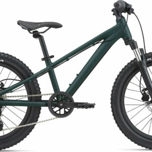 Giant STP 20 FS GIANT trekking green 2022 20"; Diamant
