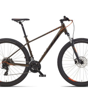 KTM Chicago 292 - 29 Zoll 24k Trapez -oak