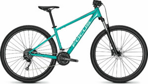 Focus Whistler 3.6 Bluegreen 2022 29"; Diamant