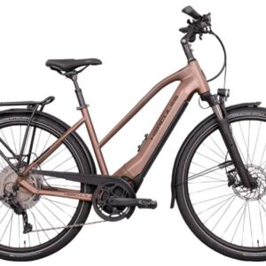 Hercules Pasero I-10 - 28 Zoll 750Wh 10K Trapez - braun-matt