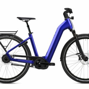 FLYER Gotour 7.12 XC ABS - 28 Zoll 750Wh 10K Wave - Frosty Sage