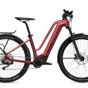 Flyer Goroc2 2.10 - 29 Zoll 750Wh 10K Wave - Mercury Red Black Gloss