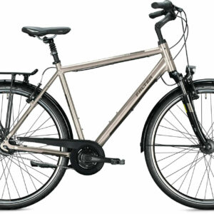 Falter C 5.0 titanium, glossy 2022 28"; Diamant