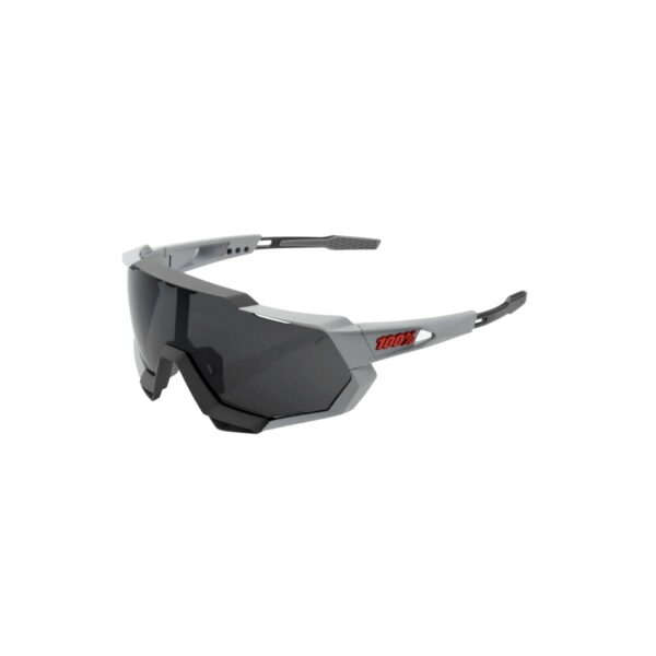 Brille 100% Speedtrap Grey - Rauchgläser