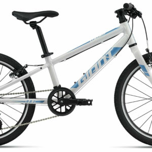 Giant ARX 20 snow drift 2022 20"; Diamant
