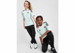 adidas Wales 2023 Away Shirt Kinder, White