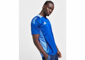 adidas Tiro 24 Competition Trainingstrikot - Herren, Royal Blue