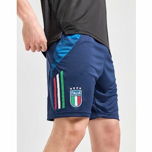 adidas Italy Tiro 24 Training Shorts - Herren, Blue