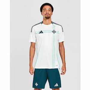 adidas Northern Ireland 2024 Away Shorts - Herren, Green