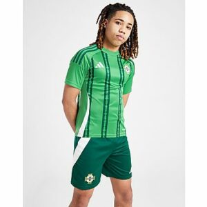 adidas Northern Ireland 2024 Home Shorts Junior, Green