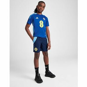 adidas Northern Ireland Tiro 24 Downtime Shorts Junior, Blue