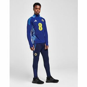 adidas Northern Ireland Tiro 24 Training Pants - Herren, Blue