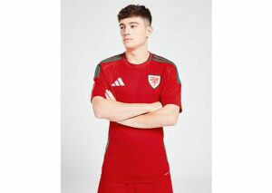 adidas Wales 2024 Home Shirt - Herren, Red