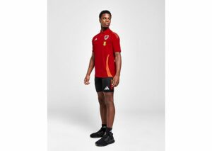 adidas Wales Tiro 24 Training Shorts - Herren, Black