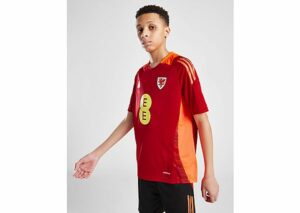 adidas Wales Tiro 24 Training Shirt Junior, Red