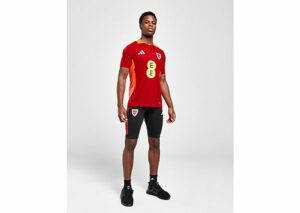 adidas Wales Tiro 24 Trainings-Shorts - Herren, Black