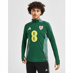 adidas Wales Tiro 24 Training Top - Herren, Green