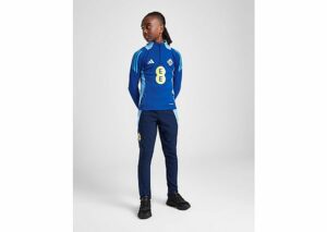 adidas Northern Ireland Tiro 24 Track Pants Junior, Blue