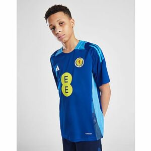 adidas Scotland Tiro 24 Training Shirt Junior, Blue