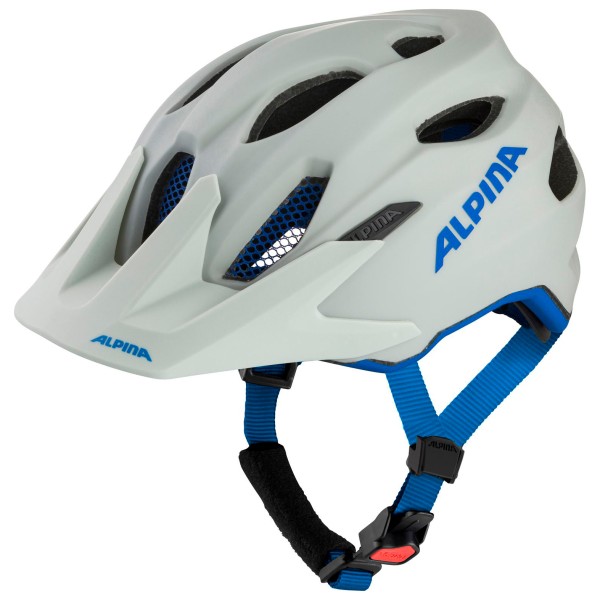 Alpina - Carapax Junior - Radhelm Gr 51-56 cm grau