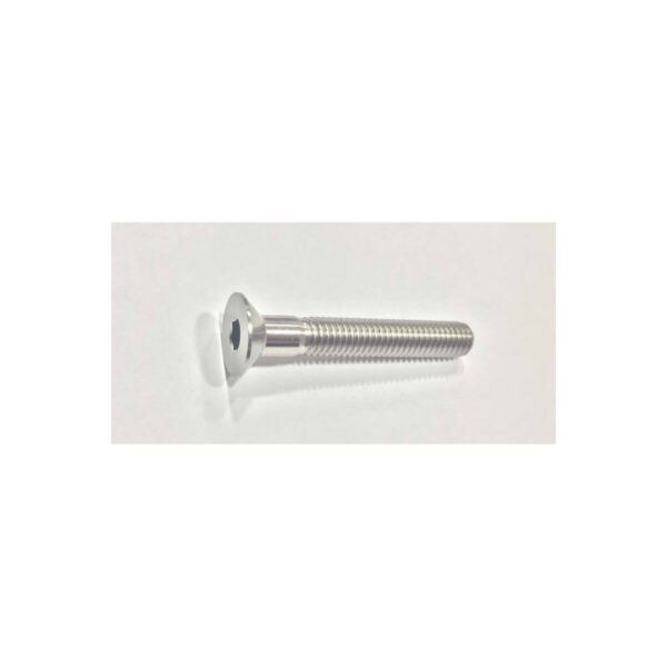 Tornillo de Direccion de Titanio Brakco