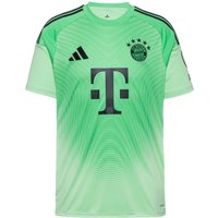 adidas FC Bayern München 25-26 Teamtrikot Herren